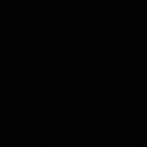 Meet your Posher, Lilly